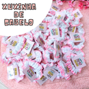 Xuxinhas Rabicó Laço de Cabelo com Tag Personalizada Presente Para Clientes